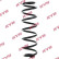 chassis spring RA5450 Kayaba