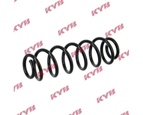 chassis spring RA5450 Kayaba, Image 2