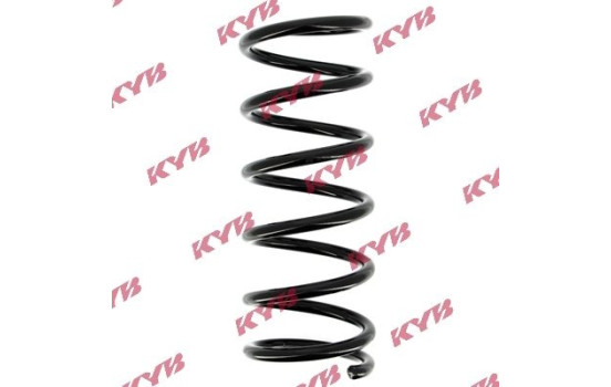chassis spring RA5455 Kayaba