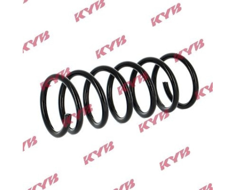 chassis spring RA5455 Kayaba, Image 2