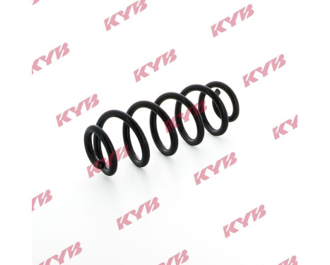 chassis spring RA5461 Kayaba, Image 2