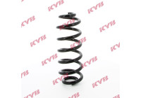 chassis spring RA5462 Kayaba