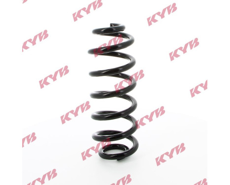 chassis spring RA5462 Kayaba