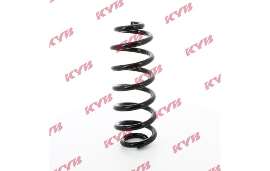 chassis spring RA5462 Kayaba