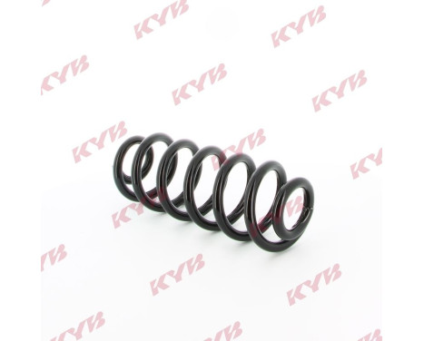 chassis spring RA5462 Kayaba, Image 2
