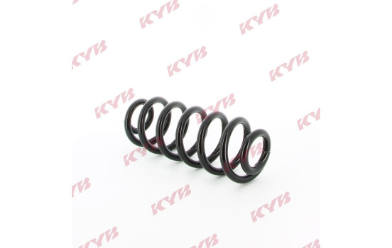 chassis spring RA5462 Kayaba, Image 2