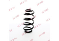 chassis spring RA5465 Kayaba
