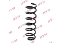 chassis spring RA5473 Kayaba
