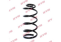 chassis spring RA5491 Kayaba