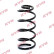 chassis spring RA5491 Kayaba