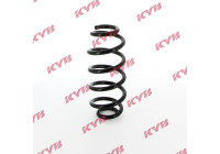 chassis spring RA5499 Kayaba
