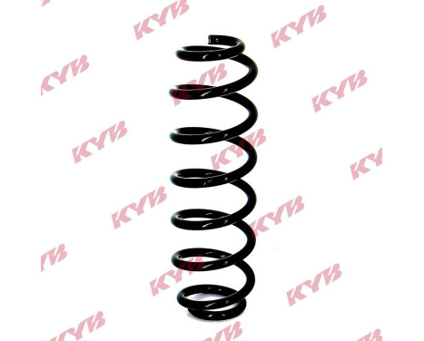 Chassis spring RA5504 Kayaba
