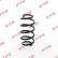 Chassis spring RA5507 Kayaba