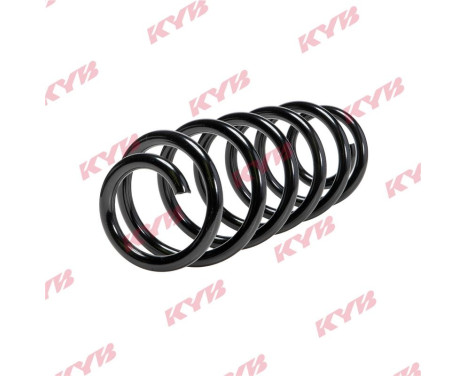chassis spring RA5508 Kayaba, Image 2