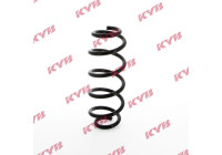 chassis spring RA5509 Kayaba