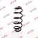chassis spring RA5509 Kayaba