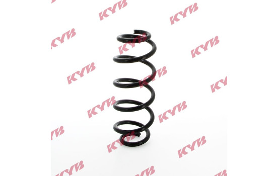 chassis spring RA5509 Kayaba