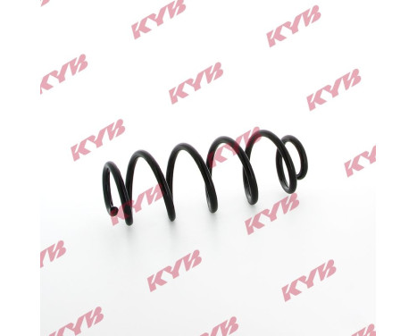chassis spring RA5509 Kayaba, Image 2