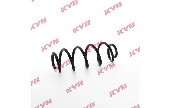 chassis spring RA5509 Kayaba, Image 2