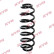 chassis spring RA5514 Kayaba