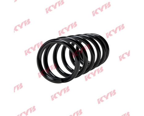 chassis spring RA5522 Kayaba, Image 2