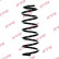 Chassis spring RA5525 Kayaba