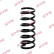 Chassis spring RA5529 Kayaba
