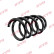 Chassis spring RA5531 Kayaba, Thumbnail 2