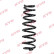 Chassis spring RA5532 Kayaba