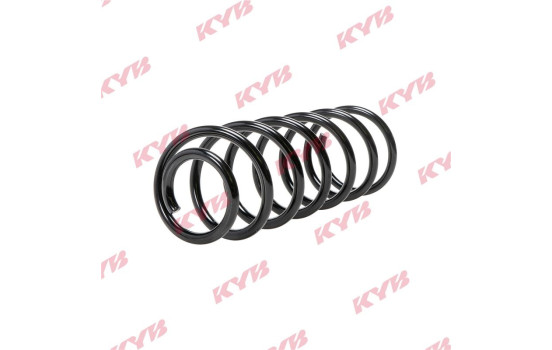 Chassis spring RA5534 Kayaba, Image 2