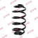 Chassis spring RA5538 Kayaba