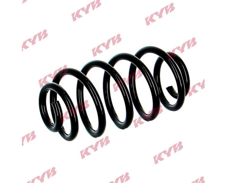 Chassis spring RA5538 Kayaba, Image 2