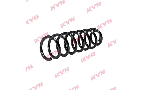 Chassis spring RA5542 Kayaba, Image 2