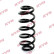 Chassis spring RA5793 Kayaba