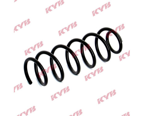 Chassis spring RA5795 Kayaba, Image 2
