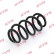 Chassis spring RA5796 Kayaba, Thumbnail 2