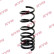 Chassis spring RA5798 Kayaba