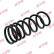 Chassis spring RA5798 Kayaba, Thumbnail 2