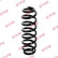 Chassis spring RA5809 Kayaba