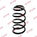Chassis spring RA5824 Kayaba
