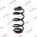 Chassis spring RA5839 Kayaba