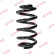 Chassis spring RA5865 Kayaba