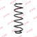 Chassis spring RA5873 Kayaba