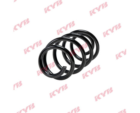 Chassis spring RA5895 Kayaba