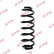 Chassis spring RA5907 Kayaba