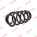 Chassis spring RA5949 Kayaba