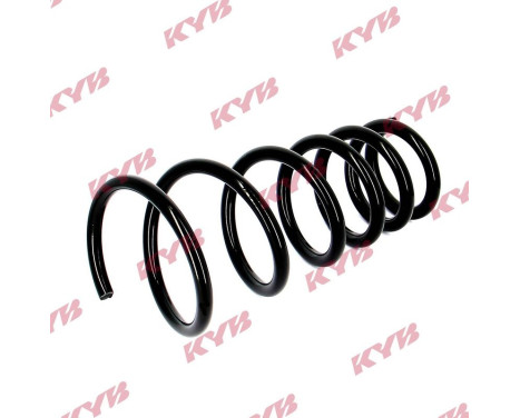 Chassis spring RG5018 Kayaba, Image 2