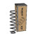 Chassis spring SP4337 Monroe, Thumbnail 2