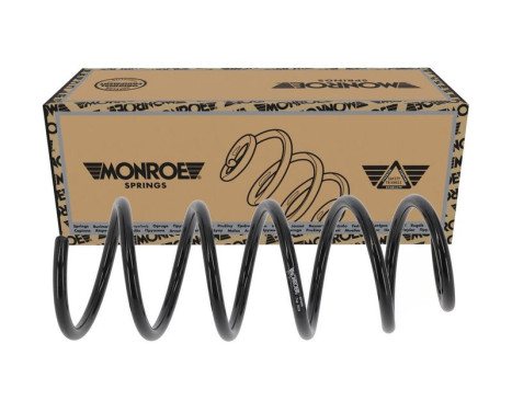 Chassis spring SP4596 Monroe, Image 3