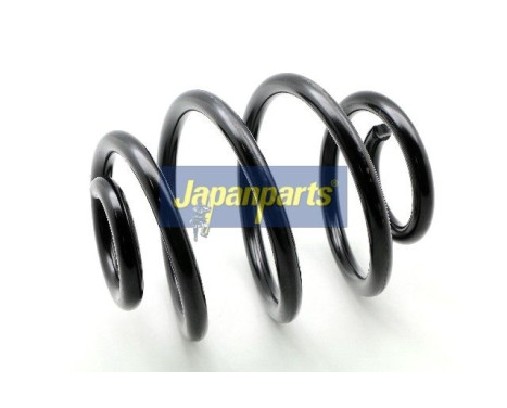 Chassis spring